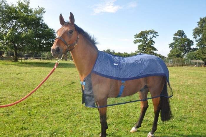 The Aerochill Rug in size s/m (16hh thoroughbred)