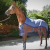 The Aerochill Cooling Rug worn on a flat race horse.