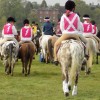 Cotswold Vale Farmers Hunt Mounted Games Team 