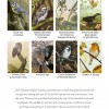 British Birds Calendar 2022 by Dick Twinney image #