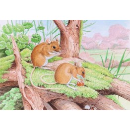 Wildlife Greeting Card - Field Mouse by David Thelwell