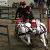 Suzanne Dicketts & Katie Dicketts at the Indoor National Driving Championships 2008 in bespoke long sleeve tee shirts with matching lycra hat covers