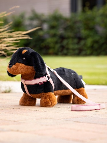 LeMieux Toy Puppy Harness image #