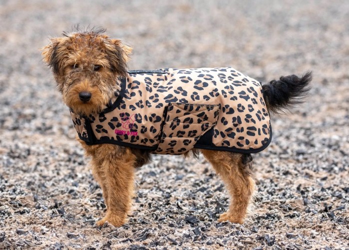 Digby & Fox Leopard Print Dog Coat image #