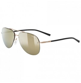 lgl 40 Gold Matt Uvex Sunglasses