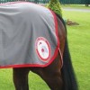 A bespoke paddock sheet patch supplied by Treehouse for Racing Shares UK.