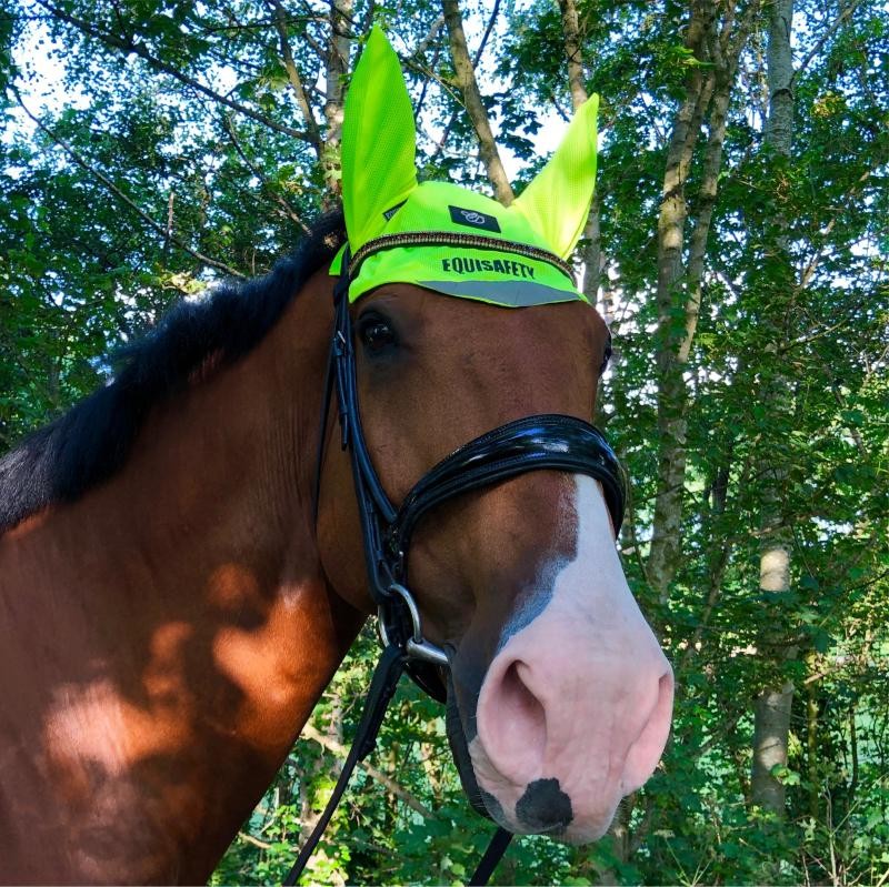 Equisafety Nose Rein Band Road Safety Reflective Horse Pony Equestrian Dog 