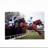 The racing girth sleeve being used in conjunction with the point to point girth on the horse on the left.