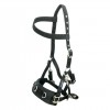 Cameo Professional Lunge Cavesson With Detachable Bit Straps image #