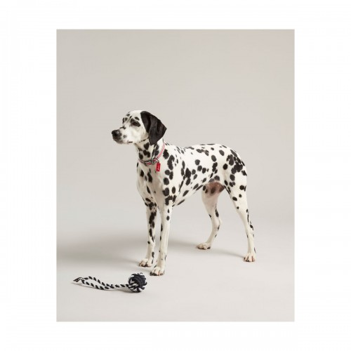 Joules Rubber and Rope Dog Toy image #