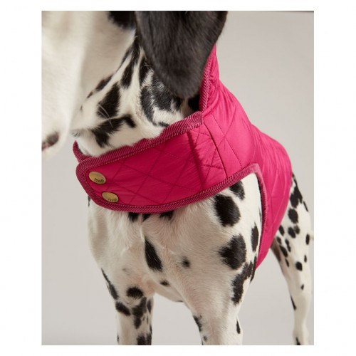 Joules Raspberry Quilted Dog Coat image #