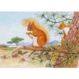 Wildlife Greeting Card - Red Squirrel by David Thelwell