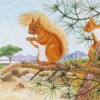 Wildlife Greeting Card - Red Squirrel by David Thelwell image #