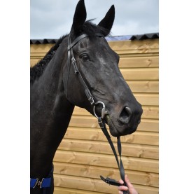 Synthetic Exercise Bridle, no noseband included