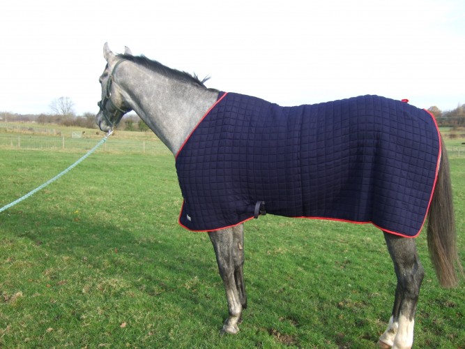 The Thermatex Original Wicking Rug showing its belly strap