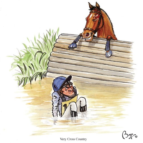 Horse Greeting Cards - Bryn Parry image #